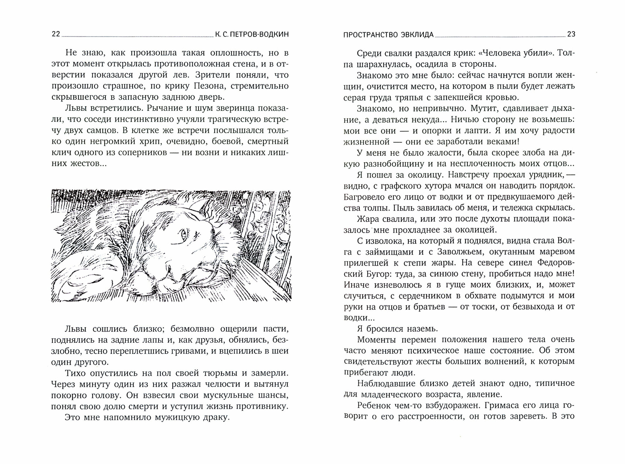 Пространство Эвклида (Петров-Водкин Кузьма Сергеевич) - фото №2
