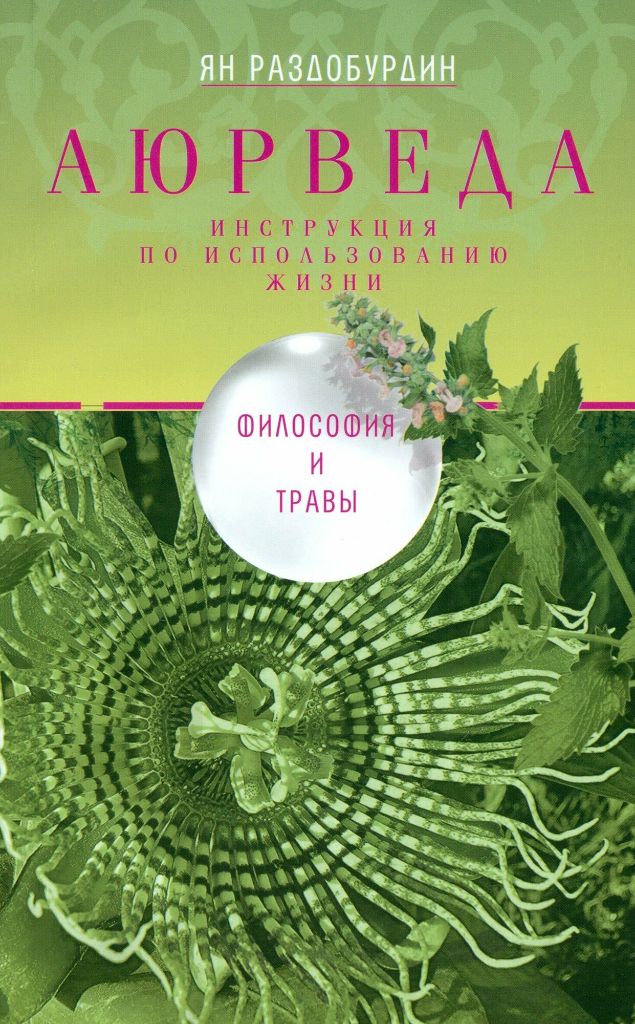 Аюрведа. Философия и травы | Раздобурдин Ян Николаевич