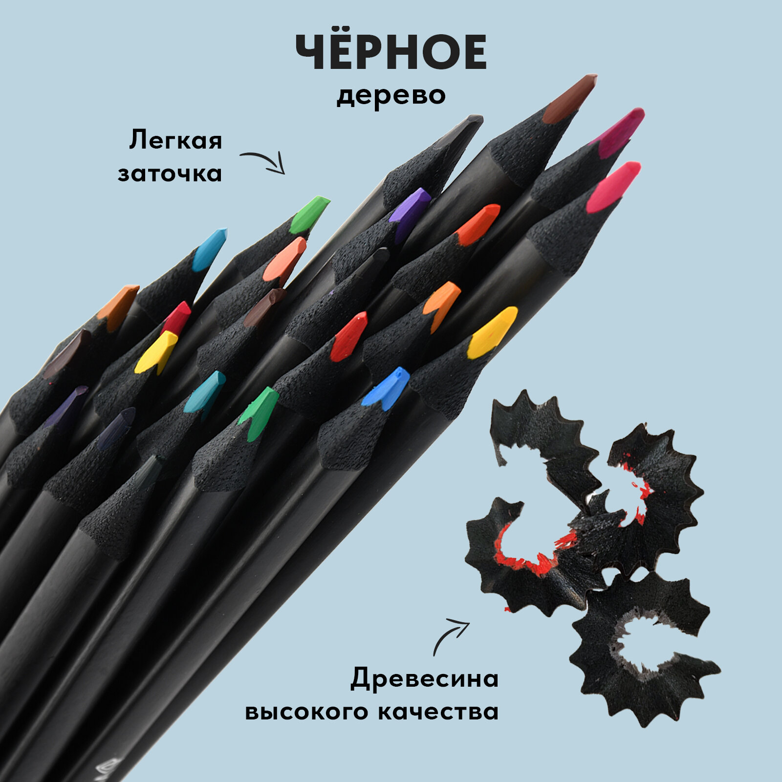 Карандаши цветные, черное дерево, 12 цветов (AF03-051-12) АРТформат - фото №7