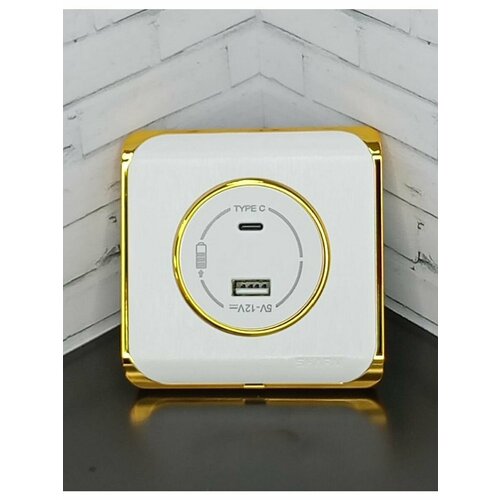 Розетка USB Sharm Electrical с защитой IP20, монтаж скрытый, цвет белый текстурный 222