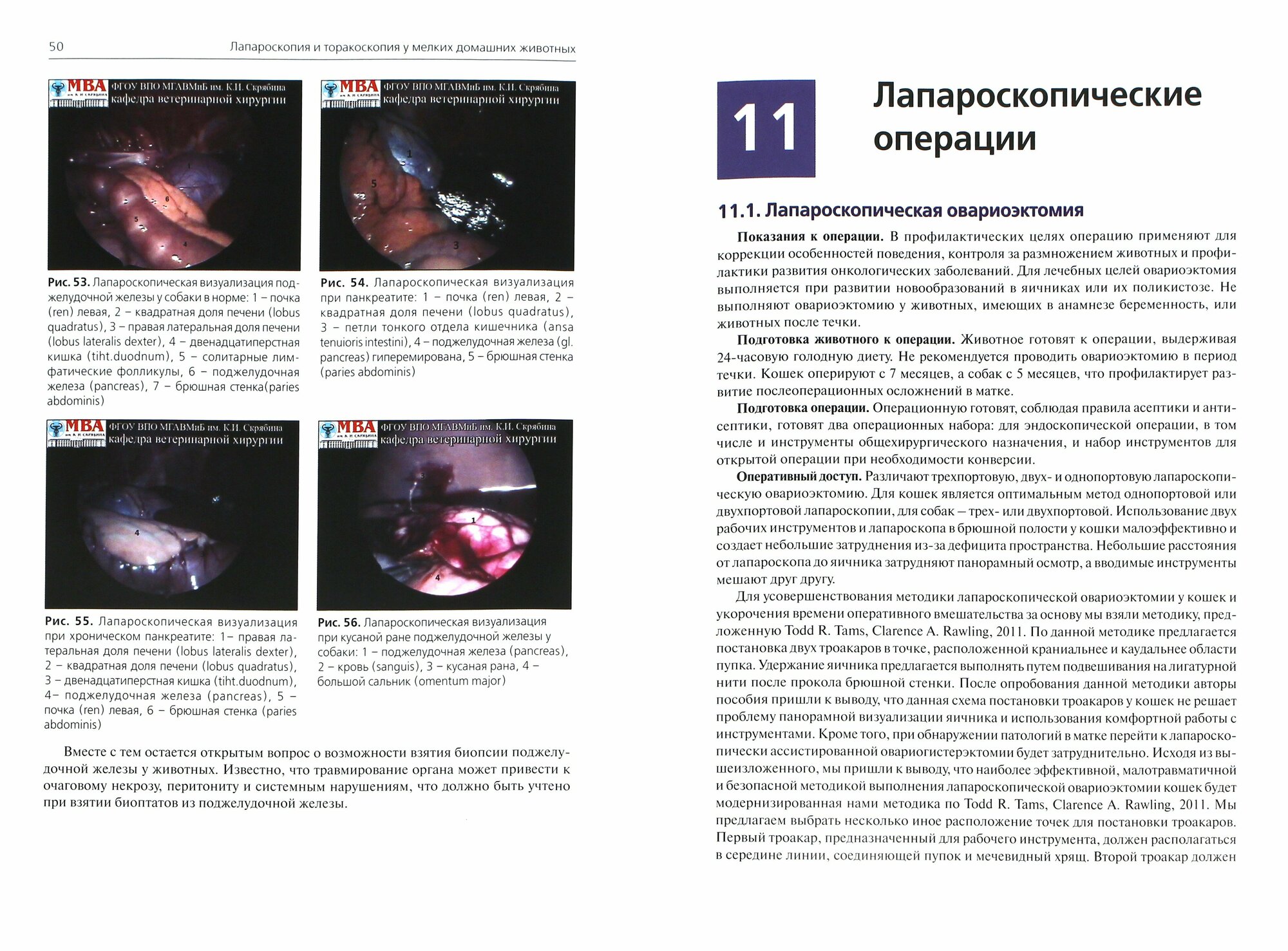 Лапароскопия и торакоскопия у мелких домашних животных. Учебное пособие - фото №3