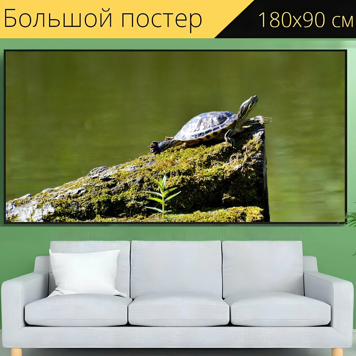 Большой постер "Черепаха, рептилия, воды черепаха" 180 x 90 см. для интерьера