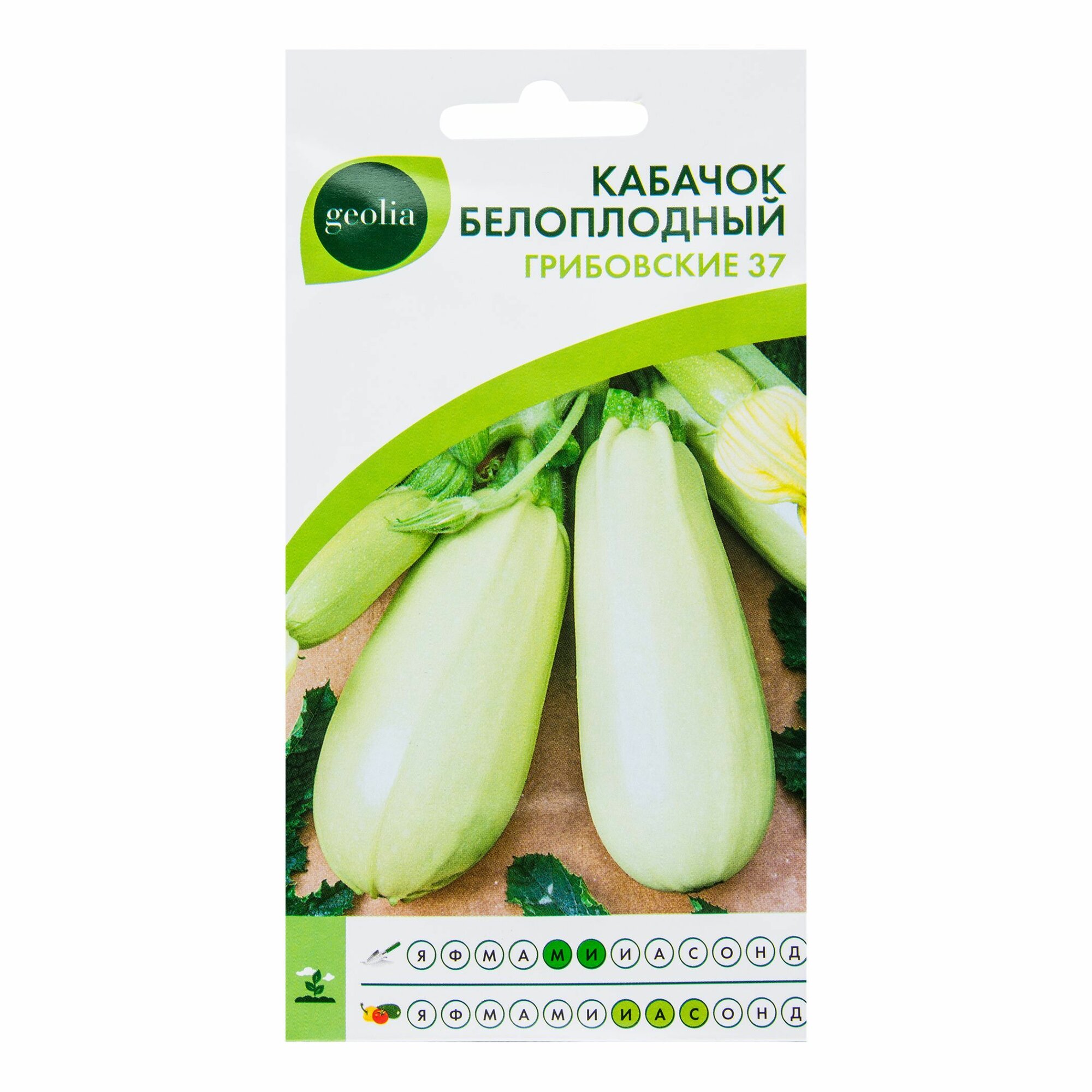 Семена кабачков белоплодный Грибовский 37