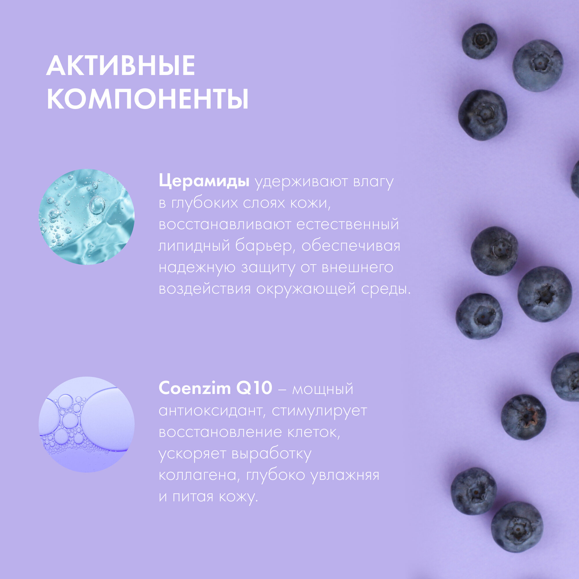 Ночная крем-маска для лица Natura Siberica Blueberry Siberica обновляющая, 50 мл