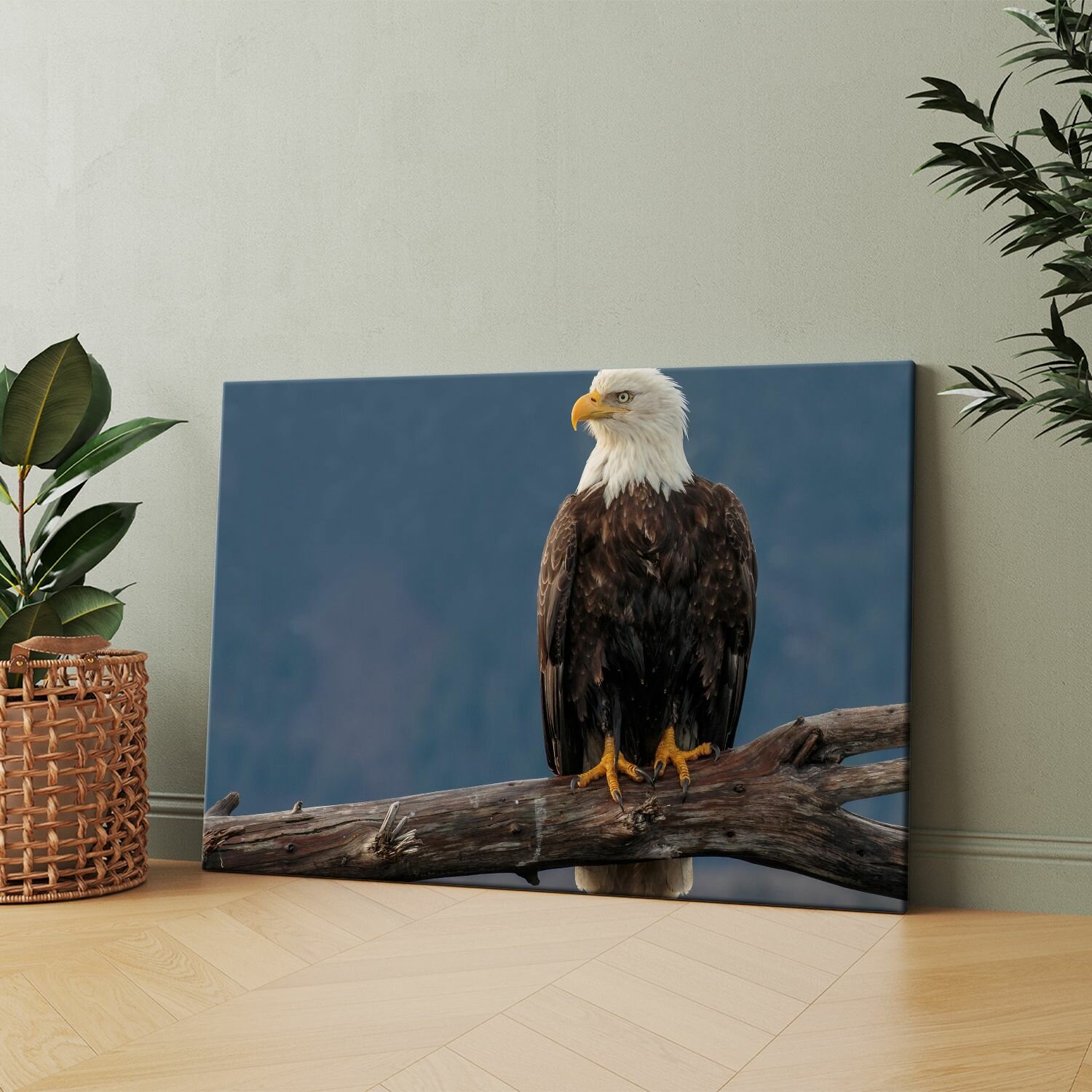 Картина на холсте (Белоголовый орлан) 30x40 см. Интерьерная, на стену.