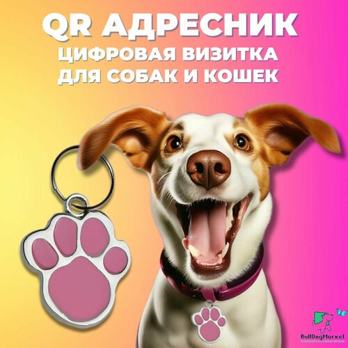 Адресник для собак и кошек с гравировкой QR кода, лапка адресник с гравировкой для собак и кошек