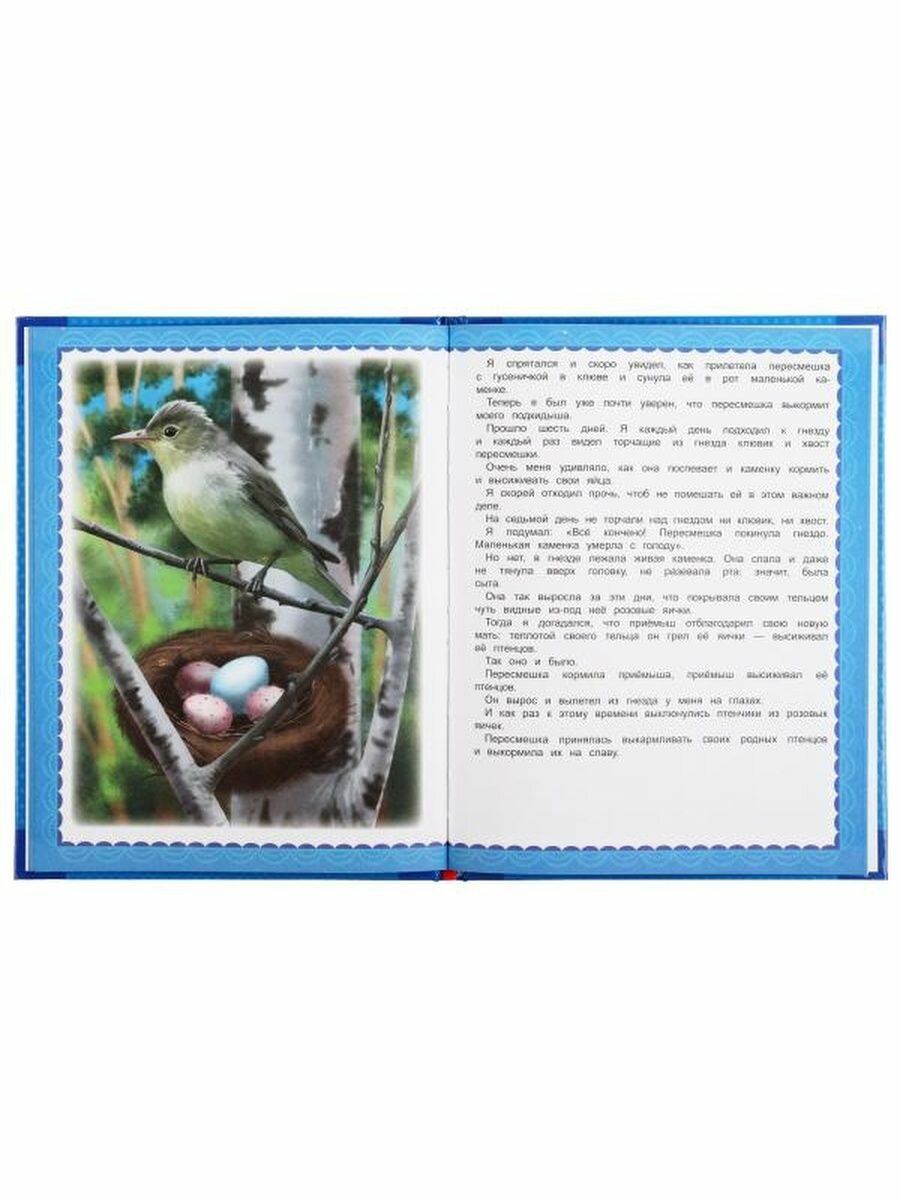 Лесные сказки. Виталий Бианки. Любимые книжки. 197х255 мм., 32 стр., тв. переплет Умка в кор.15шт - фото №10
