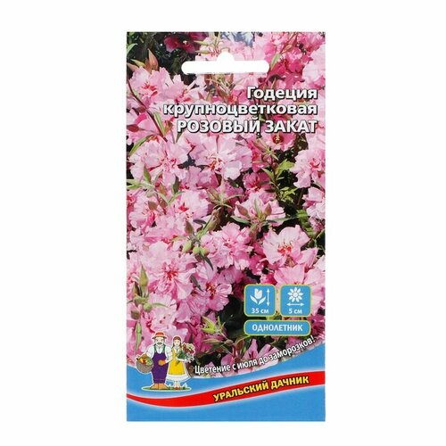 Семена Цветов Годеция крупноцветковая Розовый закат ,0 ,1 г , ( 1 упаковка )