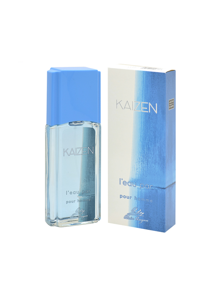 Positive Parfum men (alain Aregon) Kaizen - L' Eau Par Туалетная вода 95 мл.