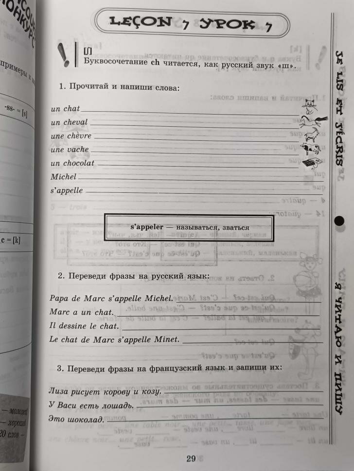 Моя первая тетрадь по французскому языку - фото №6