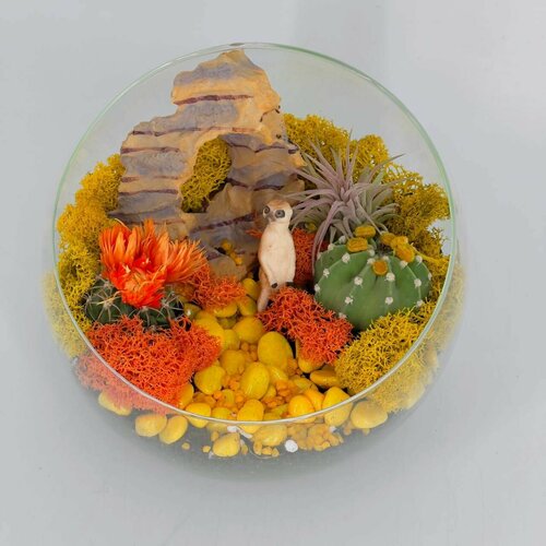 Флорариум с кактусами и тилландсией 4190₽