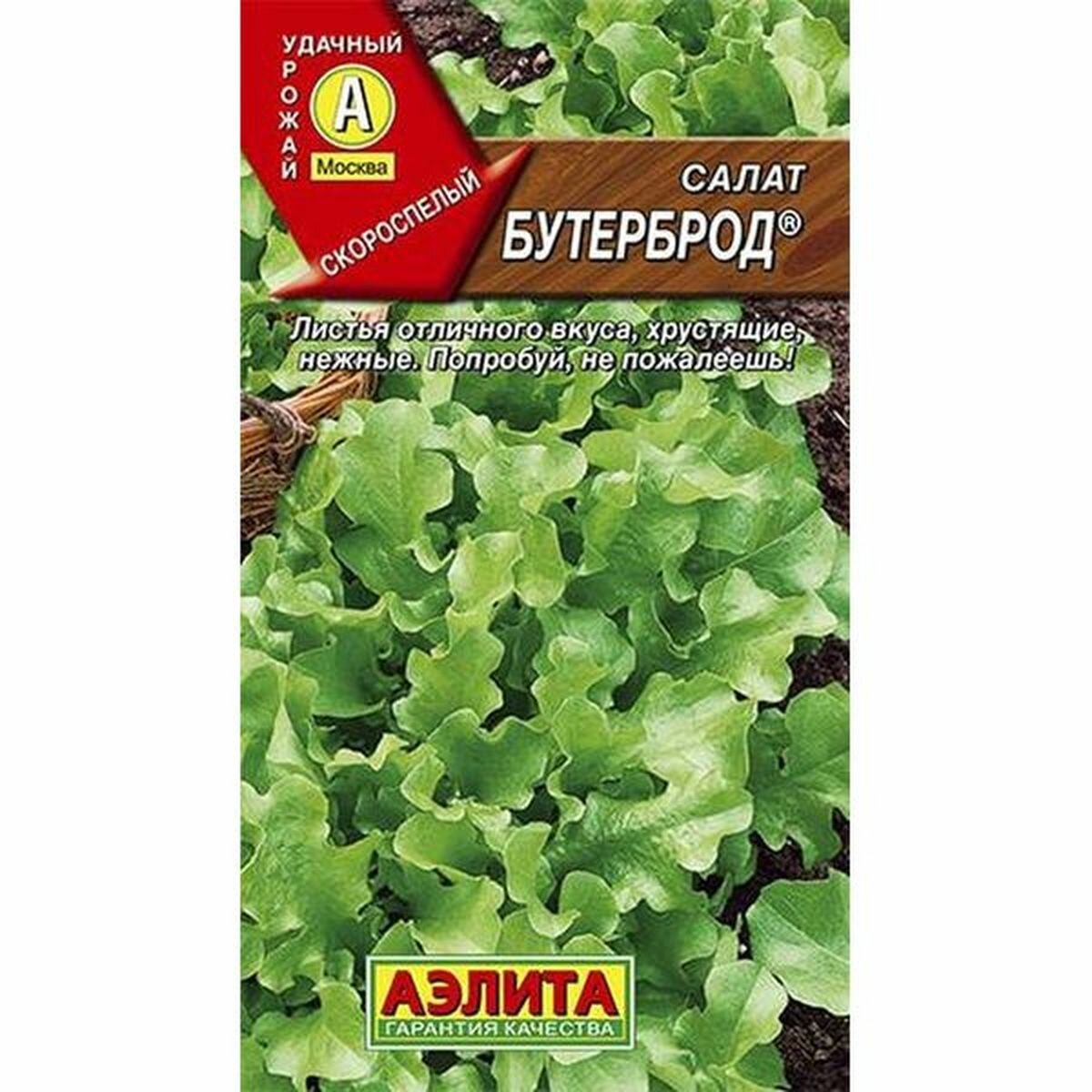 Семена Салат Бутерброд, листовой, Аэлита, 1 пачка - 0.5г семян