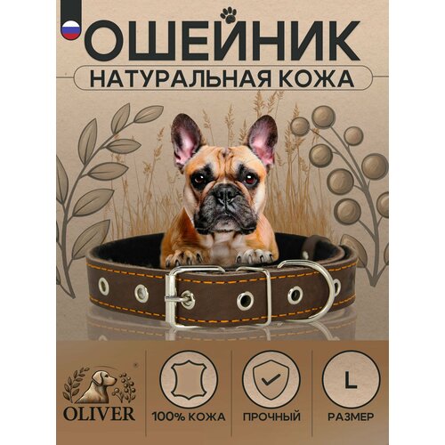 Ошейник для собак Oliver из натуральной кожи на мягкой подкладке из синтепона / L / Коричневый