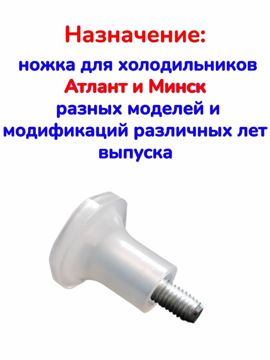 Ножка для холодильника Атлант и Минск — фото 1