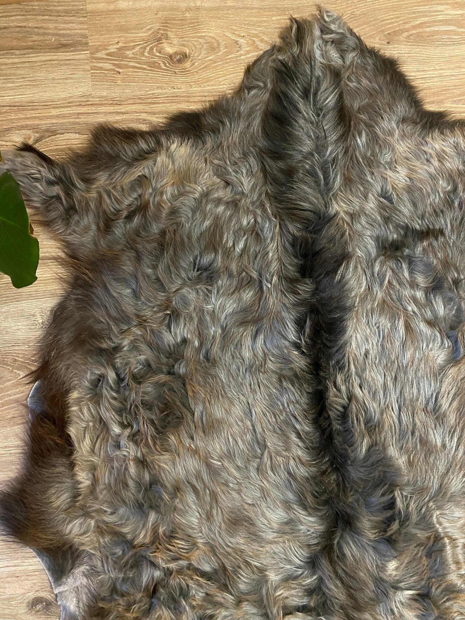 Шкура коврик меховой прикроватный пуховая коза 110х86 см.