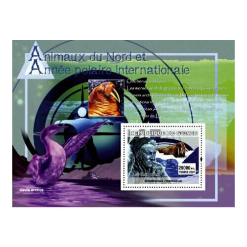 Почтовые марки Гвинея 2007г. Международный полярный год и животные Севера Фауна, Актеры MNH почтовые марки гвинея 2007г международный гелиофизический год солнце космические корабли mnh