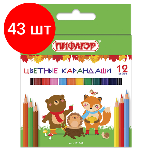 Комплект 43 шт, Карандаши цветные пифагор малыши-карандаши, 12 цветов, укороченные заточенные, 181344