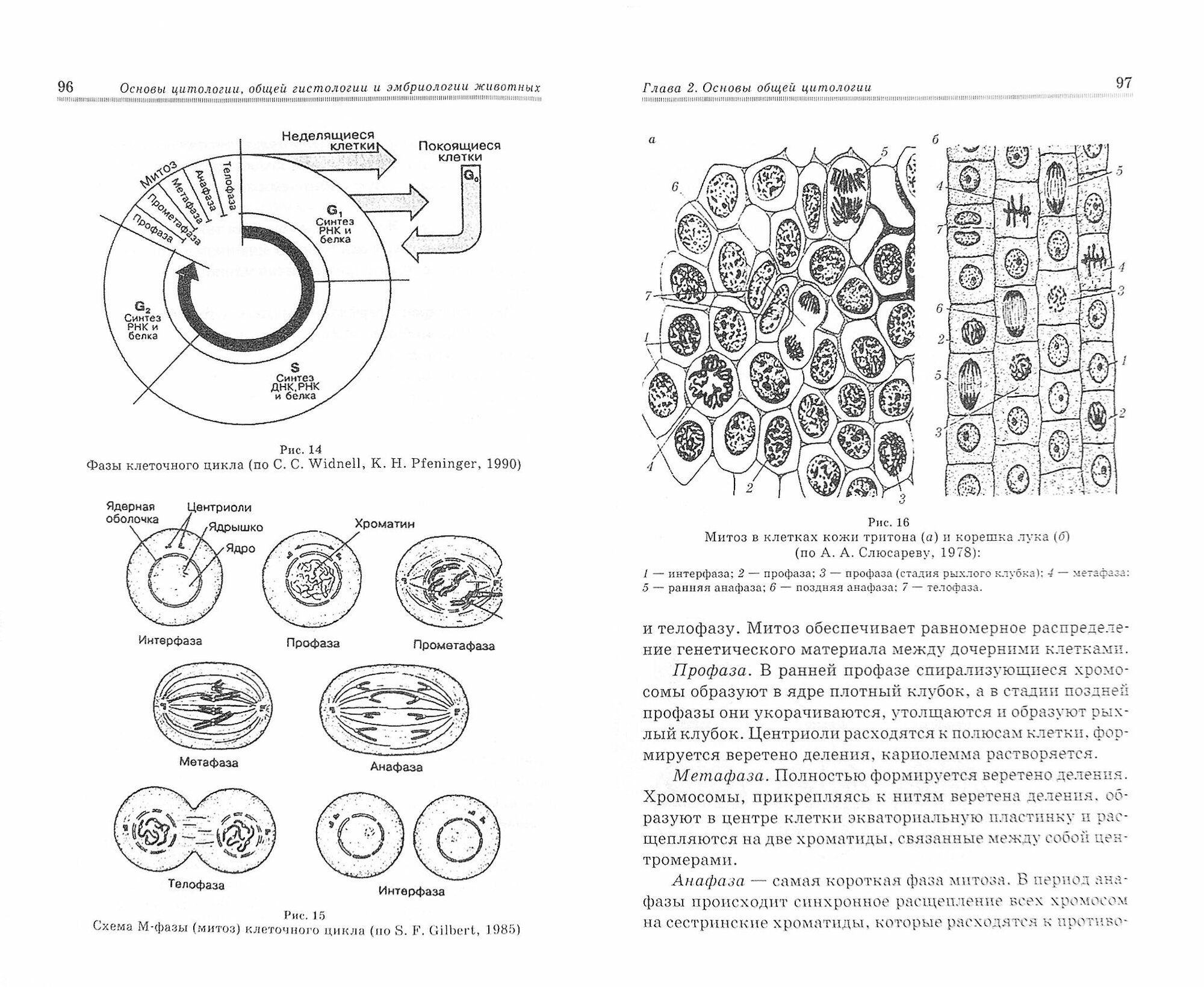 Основы цитологии, гистологии и эмбриологии животных. Учебное пособие - фото №6