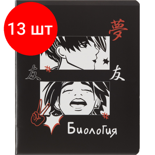 тетрадь предметная ребус 48л а5 клетка биология 73850 Комплект 13 штук, Тетрадь предметная 48л А5 клетка, TWIN лак №1 School -аниме- биология