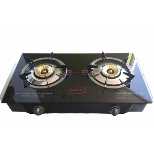 Плита газовая Умница ПГБС-2К 7980₽