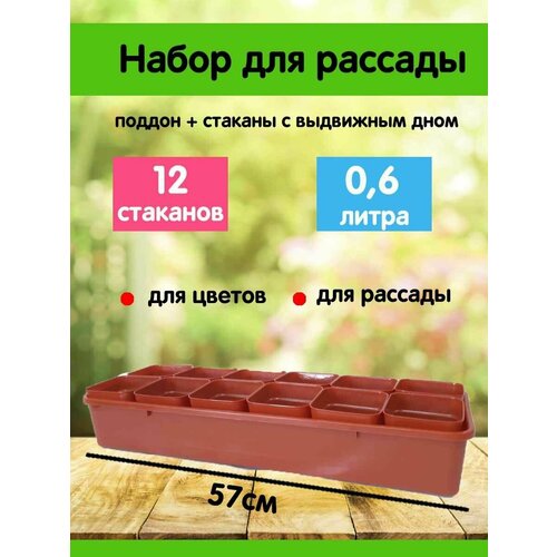 Набор для рассады Рассадушка-1 12 стаканов 0,6л+ящик, терракотовый, Сузун