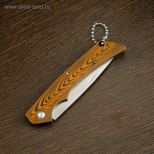 фото Нож складной "раптор" 16,3см, клинок 69мм/1,2мм россия