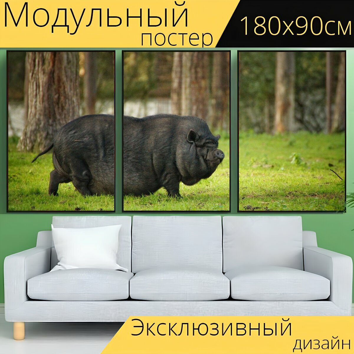 Модульный постер "Пузатая свинья, карликовая свинья, домашняя свинья" 180 x 90 см. для интерьера