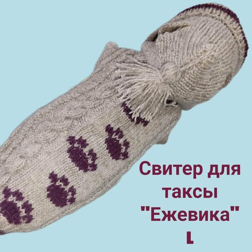 Свитер для таксы L Ежевичка