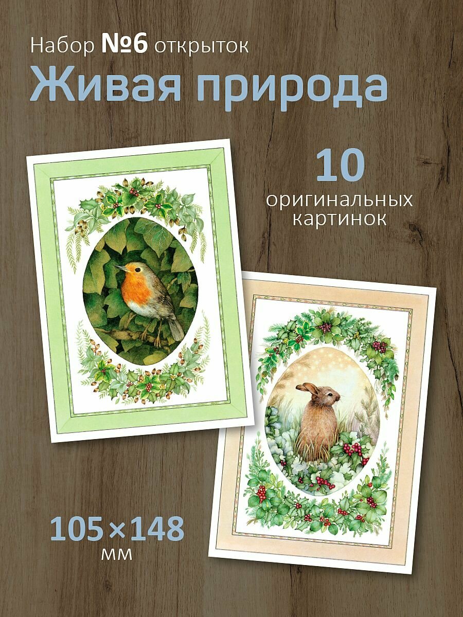 Набор открыток "Живая природа №6"