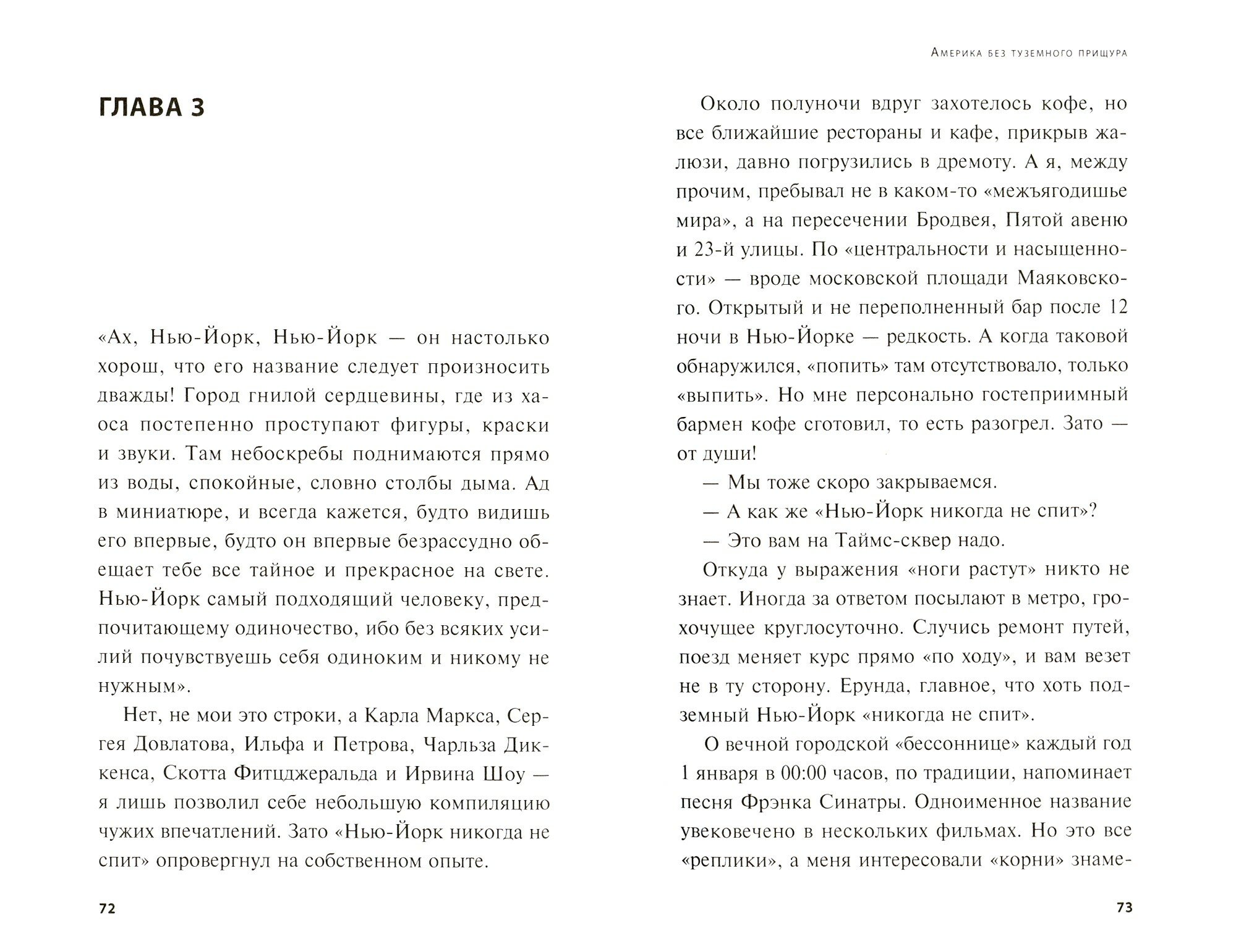 Америка без туземного прищура (Синельников-Оришак Михаил Юрьевич) - фото №5