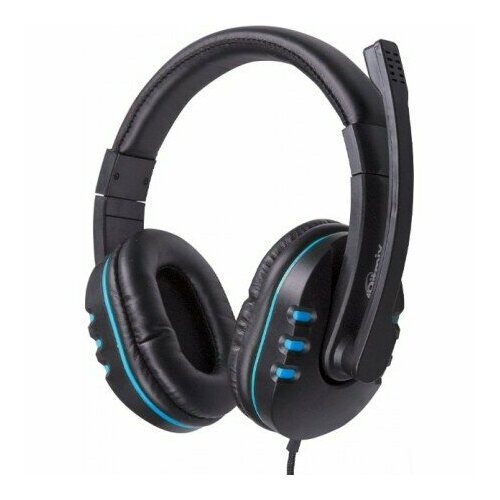 Наушники Ritmix RH-555M черныйсиний 1422₽