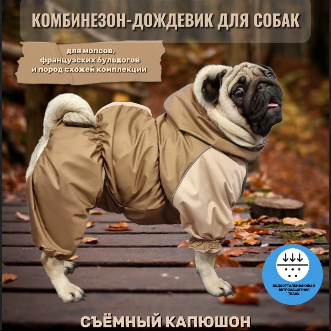 Комбинезон-дождевик со съемным капюшоном для собак: французских бульдогов, мопсов, беж, ФР-1