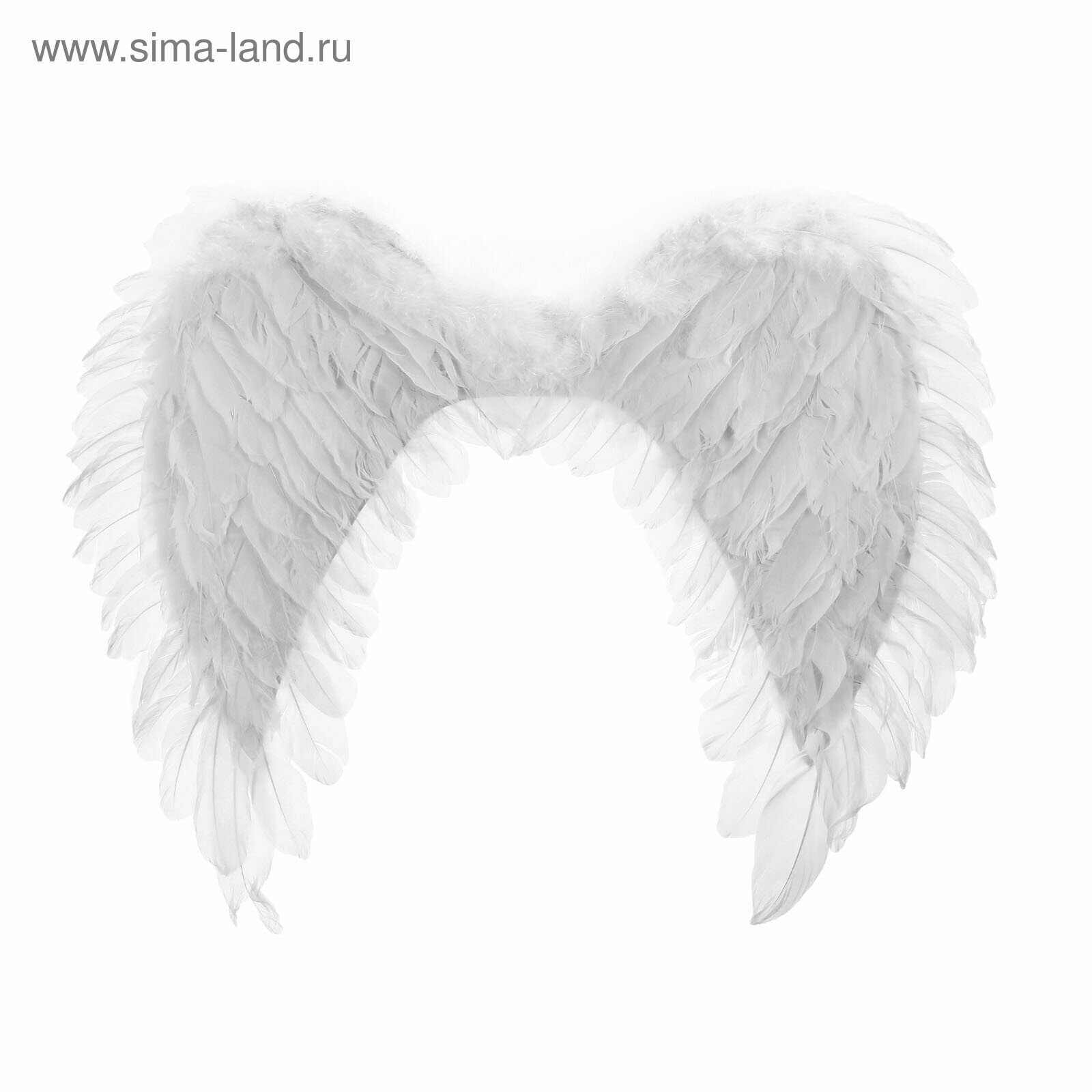 Крылья ангела, 40 × 60 см, цвет белый
