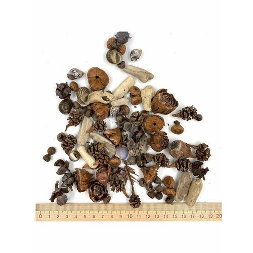 Природные материалы для творчества Мастерская души