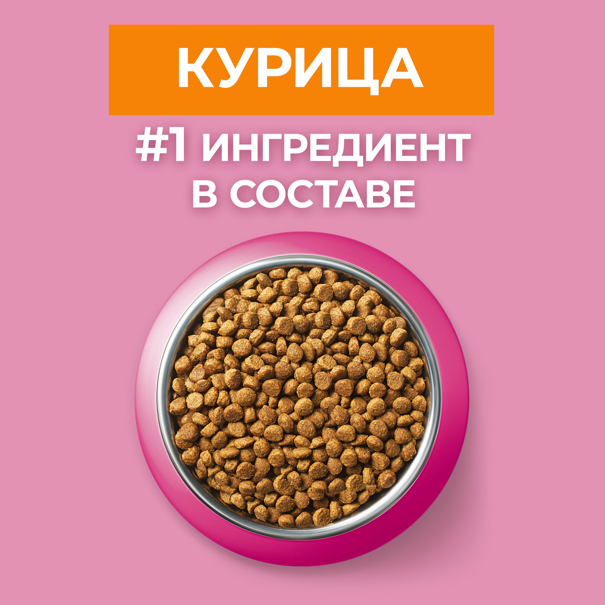 Сухой корм PURINA ONE® для котят с курицей, 200 г — фото 1