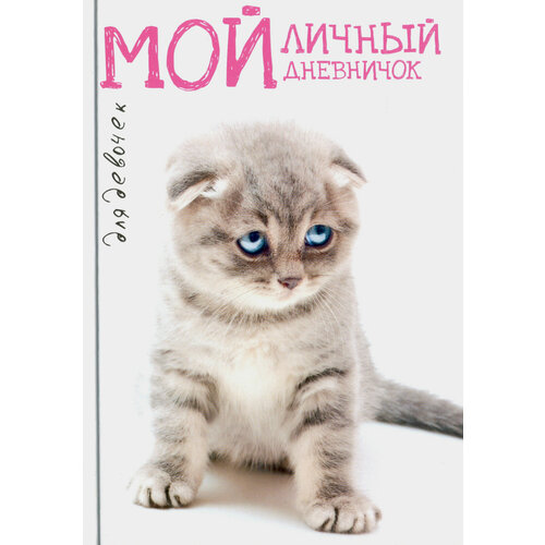 Мой личный дневничок Котик грустный 1013₽