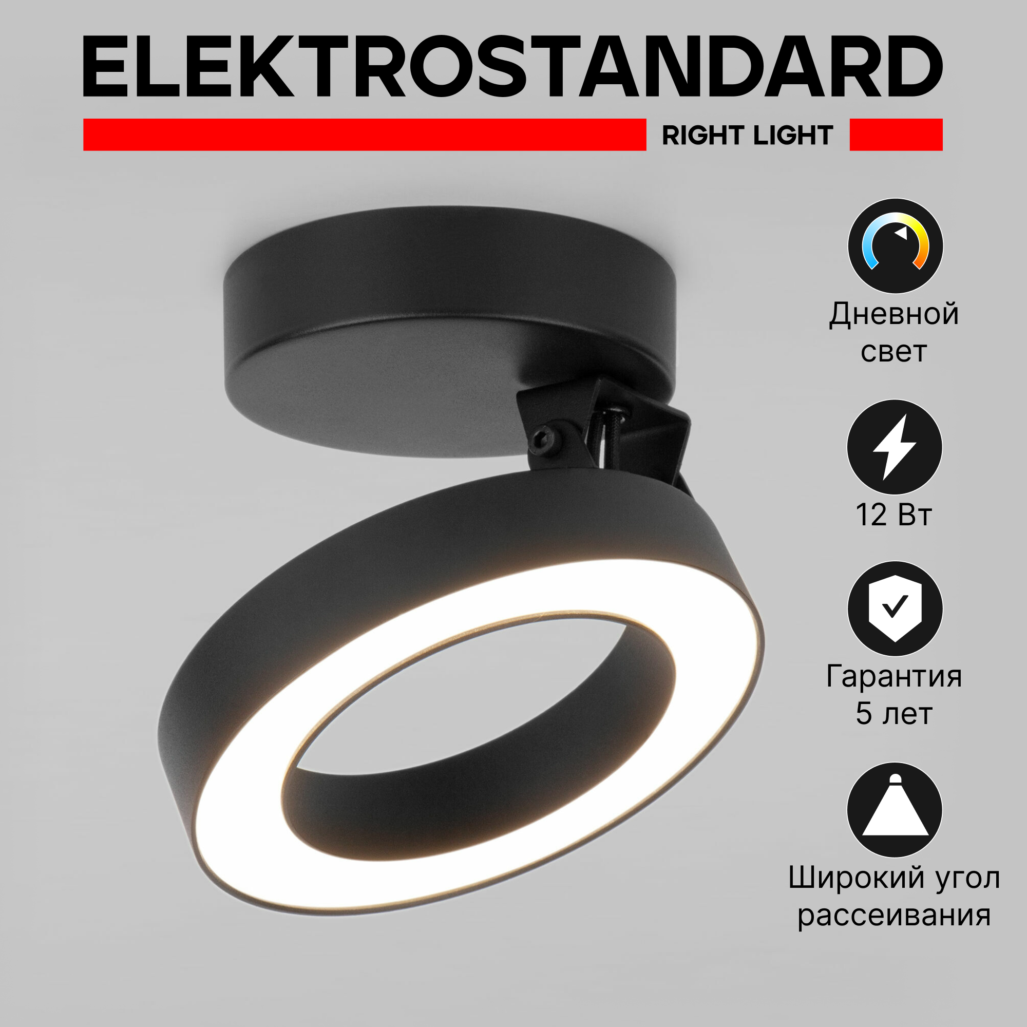 Спот / Накладной светодиодный светильник с поворотным механизмом Elektrostandard Spila 25105/LED, 4200К, 12 Вт, цвет черный