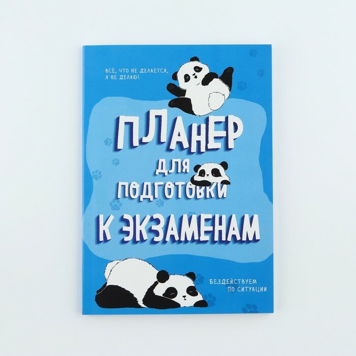 Планинг для подготовки к экзаменам, А5 60 л. Мягкая обложка «Панда»