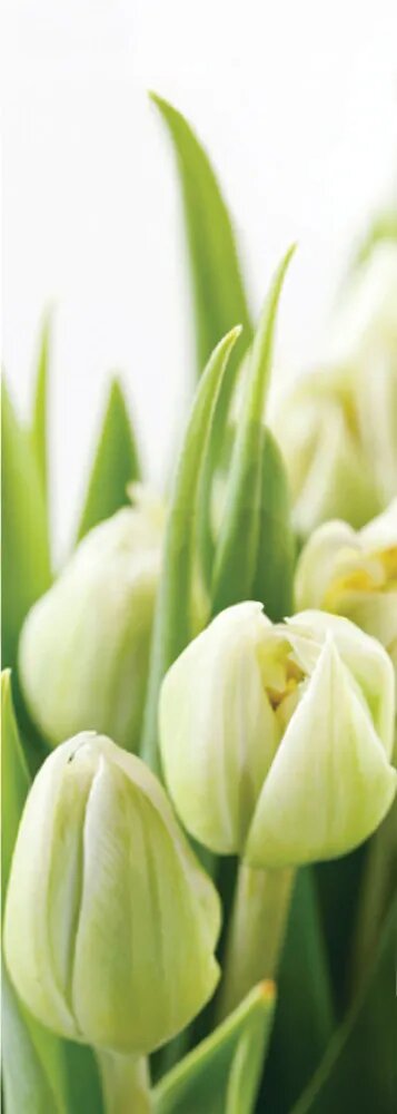 фото Фотообои Decocode флизелиновые 11-0160-FG 2,8*1 мелкая вертикальная фактура