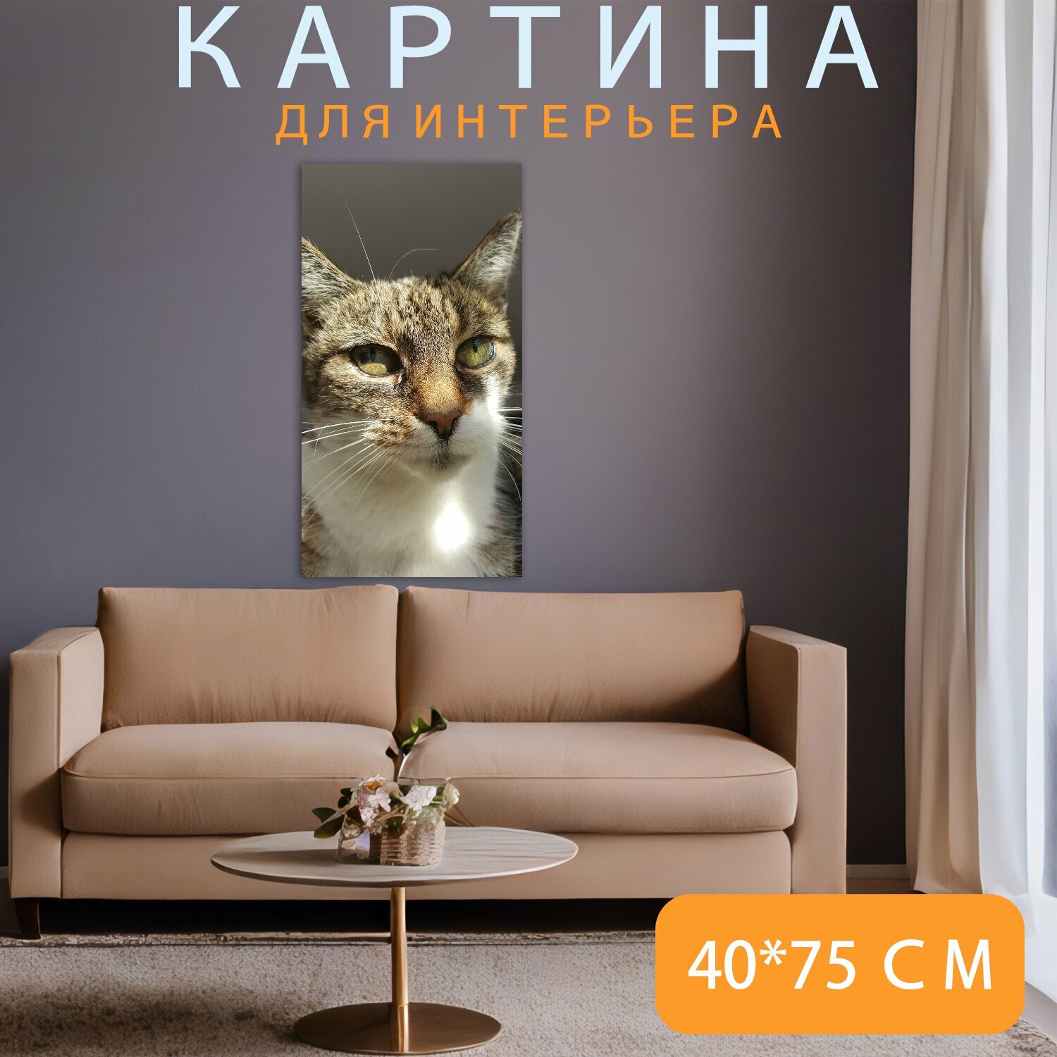 Картина на холсте "Кошка, животные, домашняя кошка" на подрамнике 40х75 см. для интерьера