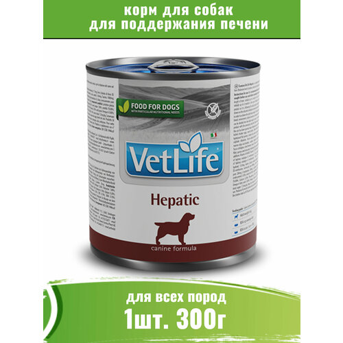 Farmina Vet Life Dog Hepatic 300г корм для собак при заболеваниях печени