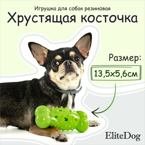 Игрушка для собак резиновая EliteDog "Хрустящая косточка", зелёная, 13.5х5.6х4.2см