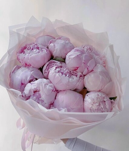 Изображение товара Монобукет из 11 нежных розовых ароматных пионов с доставкой до двери