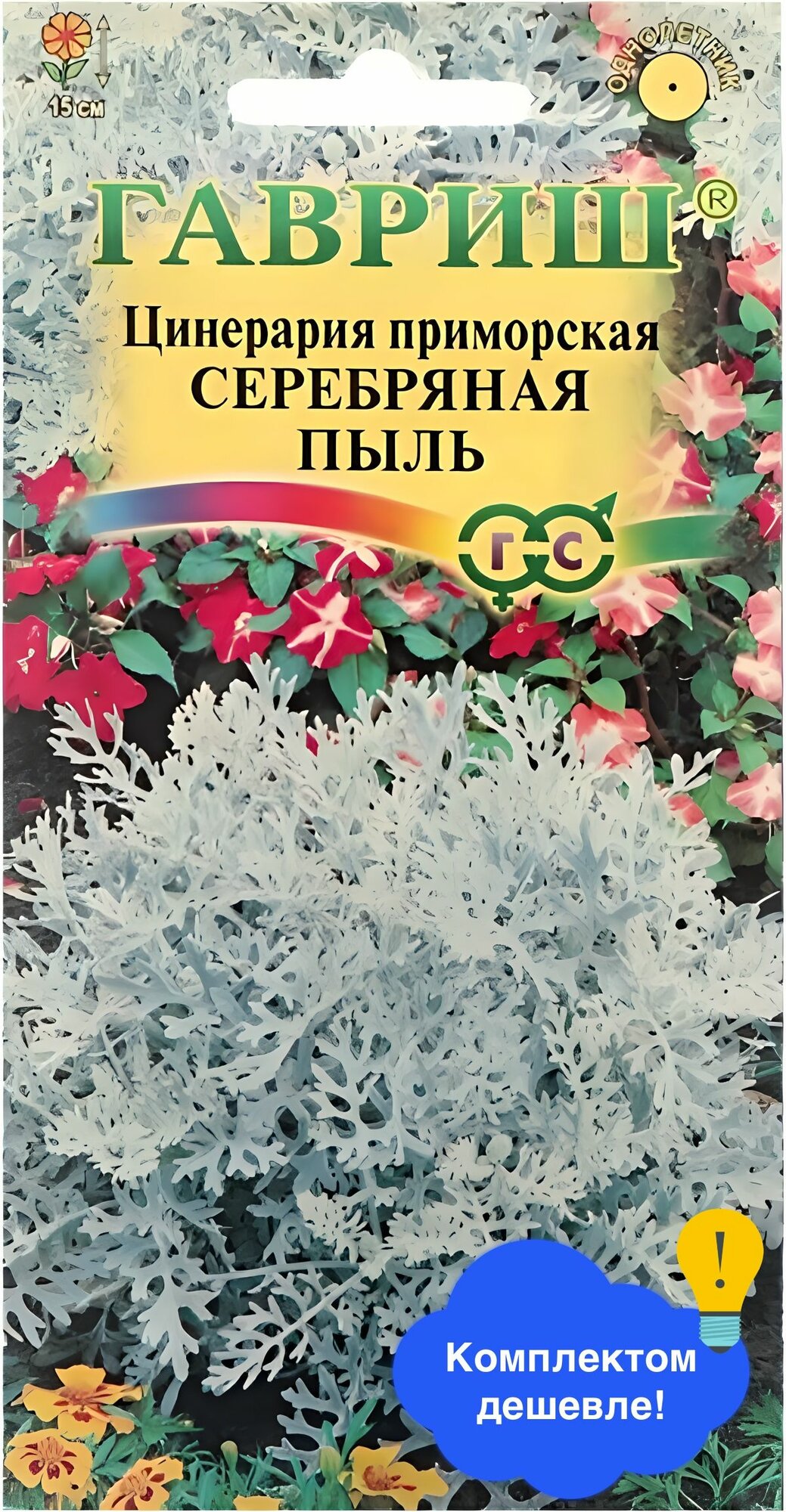 Цветы Цинерария Серебряная пыль (приморская) 0,05г Гавриш