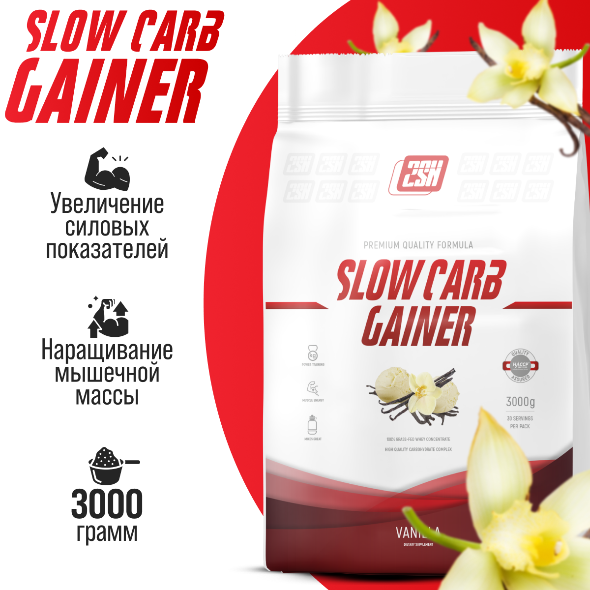 Гейнер для набора мышечной массы с разноцепочными углеводами 2SN Slow Carb Gainer 3000г (Ваниль)