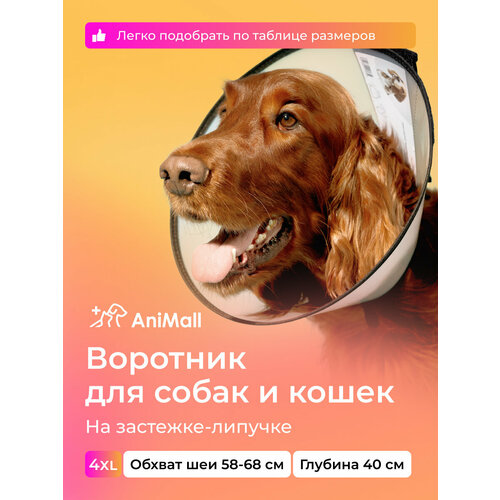 Воротник защитный ветеринарный для собак и кошек № 40 см, на липучке / AniMall