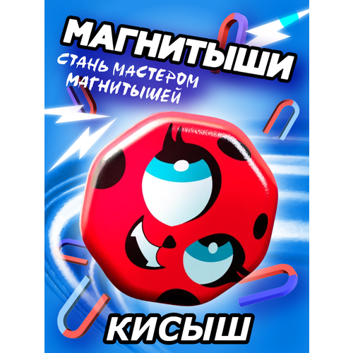 Магнитыш 1 шт Кисыш