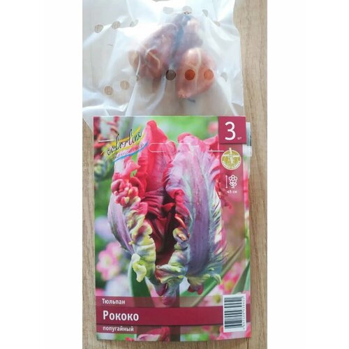 Тюльпан попугайный Рококо, размер 11/12, 3шт