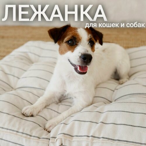 Изображение товара Лежанка матрас ретро СССР 98х68х10 см для домашних животных/собак, серая полоска, арт. MR_XL/grey320