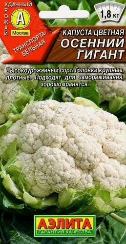 Изображение товара Капуста цветная Осенний гигант (3 упаковки), семена